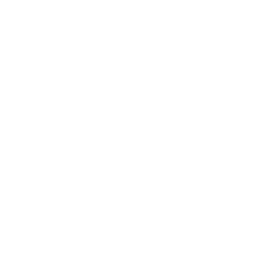 Bookingo Security Logo